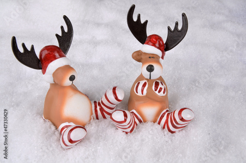 Photo: Weihnachtselche Weihnachtselche