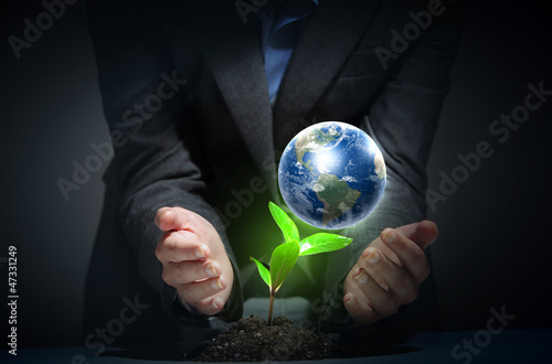 Photo: green plant on earth green plant on earth