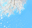 winter background
