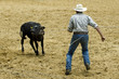 Rodeo