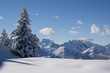 Bergwelt