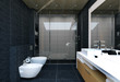 Bathroom interior