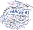Word cloud for Pancreas
