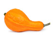 pumpkin isolated on white background