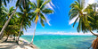 Panorama: Karibischer Traumstrand auf Samana