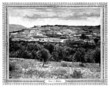 Cana - Palestine
