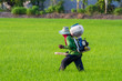Farmer spraying chemical fertilizer