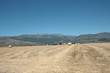 Foto: Cerdagne française,Pyrénées Cerdagne française,Pyrénées