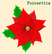 Vektor: Poinsettia flower Poinsettia flower