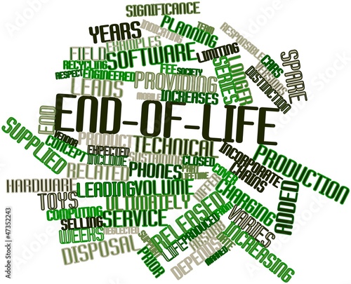 Illustration: Word cloud for End-of-life Word cloud for End-of-life