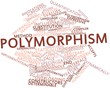 Word cloud for Polymorphism