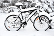 Photo: Bikes in winter Bikes in winter