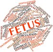 Word cloud for Fetus