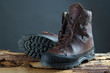 Hiking Boots