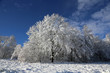 Winterzauber