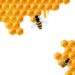 Vector Illustration of a Honey Background