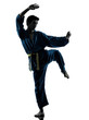 Foto: karate vietvodao martial arts man silhouette karate vietvodao martial arts man silhouette