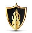 Vector: Shield and flame torch gold design vector Shield and flame torch gold design vector
