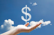 Dolla sign could  on in blue sky