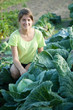  woman  in  brussels sprouts plant