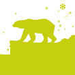 Winter und Bär