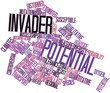 Word cloud for Invader potential