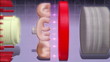 Lichtmaschine Animation