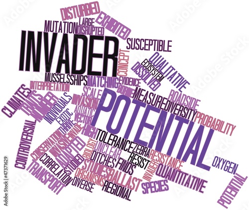 Illustration: Word cloud for Invader potential Word cloud for Invader potential