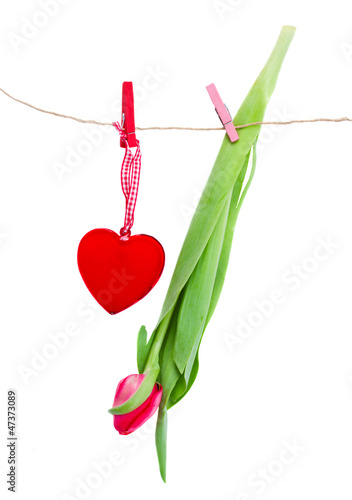 Photo: tulips and heart tulips and heart