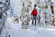 Hiker in winter mountains
