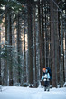 Hiker in winter mountains