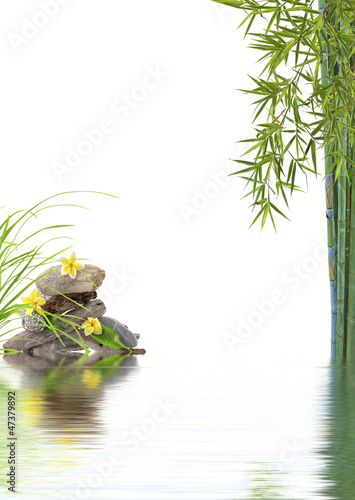 Photo: composition zen bien-être détente composition zen bien-être détente