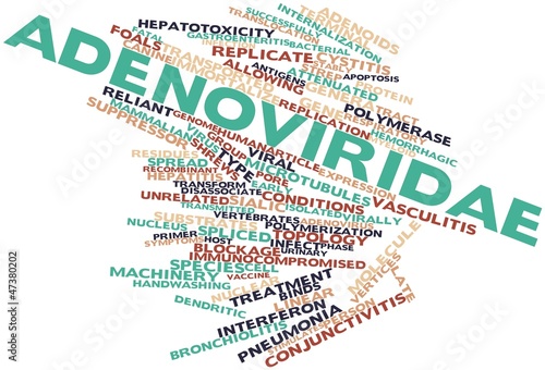 Illustration: Word cloud for Adenoviridae Word cloud for Adenoviridae
