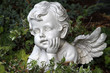 Foto: Engelchen Engelchen