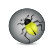 insecte scarabé