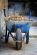 Blue Wheelbarrows