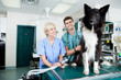Young Veterinarian Doctors with Dog