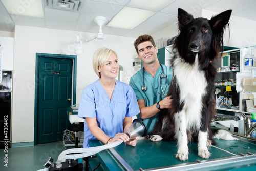 Photo: Young Veterinarian Doctors with Dog Young Veterinarian Doctors with Dog