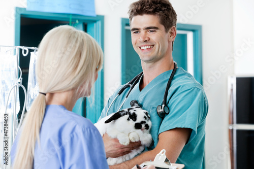 Photo: Veterinarian Doctor With Rabbit Looking At Female Nurse Veterinarian Doctor With Rabbit Looking At Female Nurse