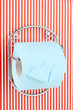 Roll of toilet paper on  holder fixed to pinstriped wall