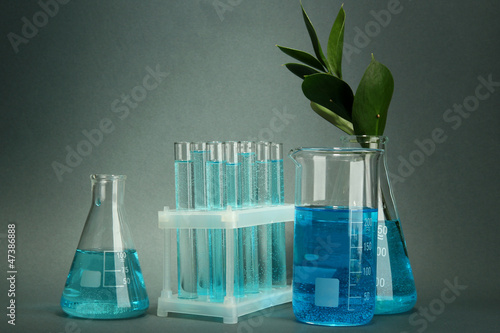 Photo: branch with green leaves in test-tubes on grey background branch with green leaves in test-tubes on grey background
