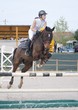 cheval qui saute un obstacle