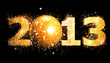 silvester party 2013