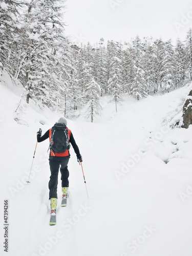 Photo: Backcountry skier walks in a snowy mountain forest Backcountry skier walks in a snowy mountain forest