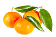 Clementine