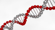 DNA