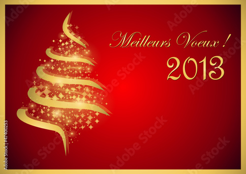 Bonne Année 2013 à tous mes lecteurs et à ceux qui vont le devenir