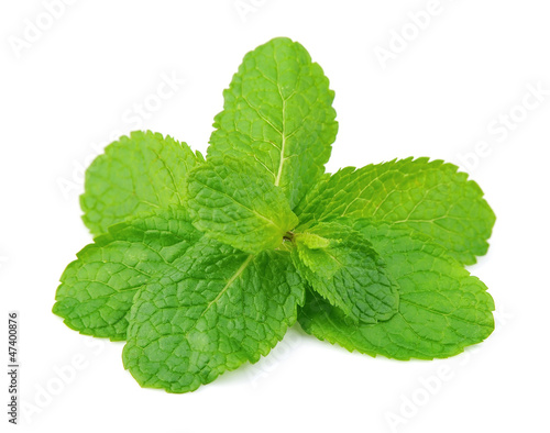 Photo: Fresh mint Fresh mint