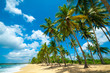 Tropical beach