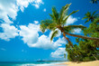 Tropical beach